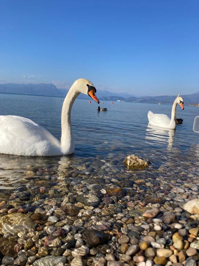 Garda Art&Lake 佩斯基耶拉德加达 外观 照片